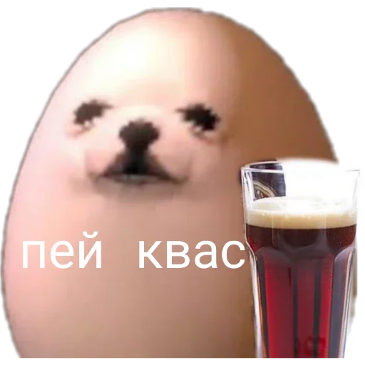 drink drink food beverage