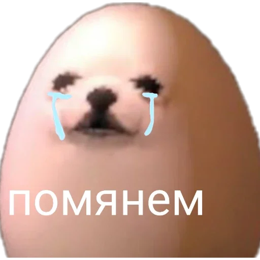 text text