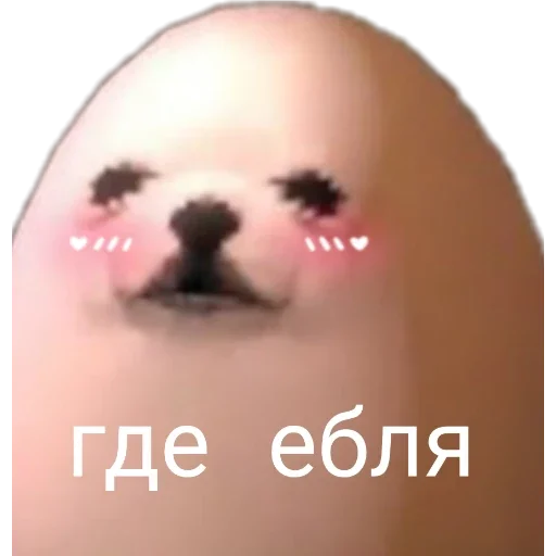 text text