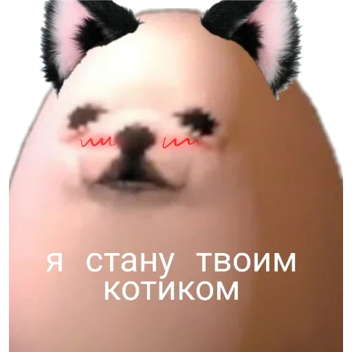 text text mammal animal