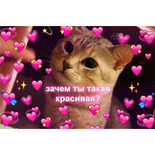 Sticker Пак для моей зайки Яны✨💗 - 8