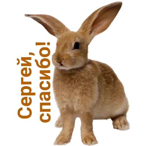 Стикер Личные стикеры 2 - 9