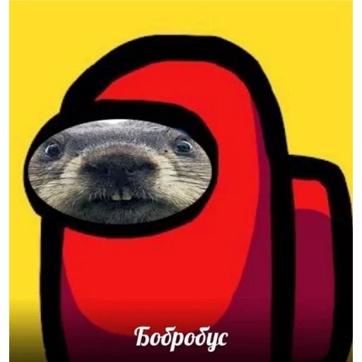 Стикер ПЕРВЫЙ ПАКЕТ - 3