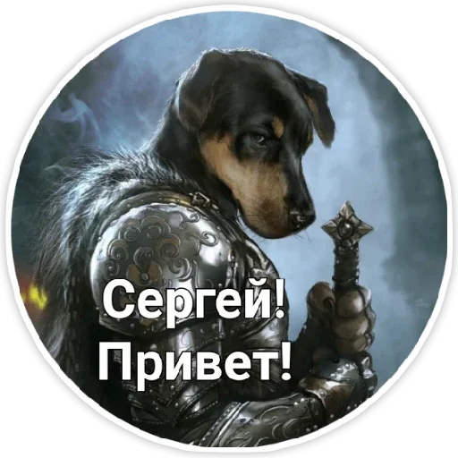 mammal mammal dog breed dog