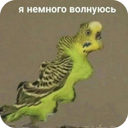 Больше стиков тут: @stikery4 Больше стиков тут: @stikery4 -