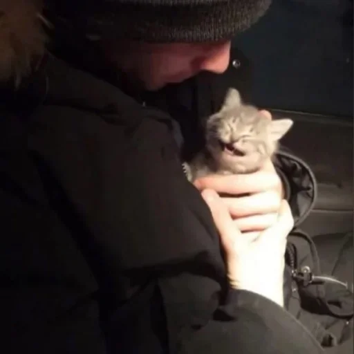 person person animal mammal