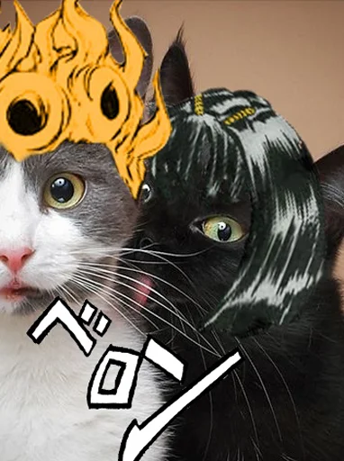 jojocats jojocats -