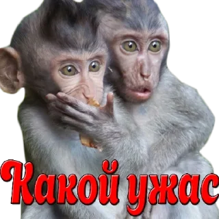 Стикер прикол - 3