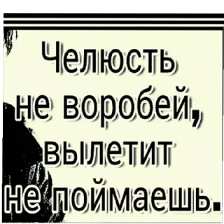 Стикер прикол - 11