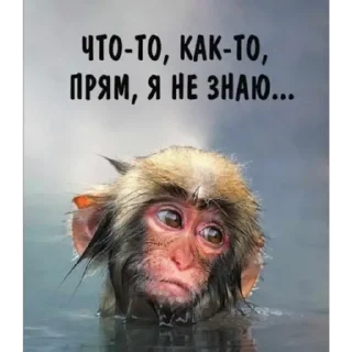 Стикер прикол - 9