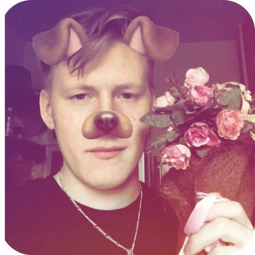 стая собачек от аниси🌹 стая собачек от аниси🌹 -