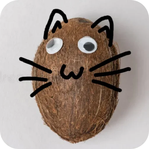 какос какос -