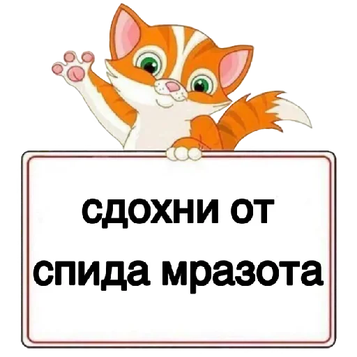 text text cat animal