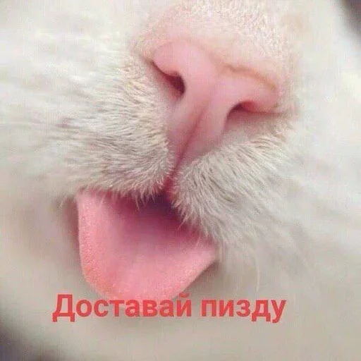 дед инсайд женя by @fStikBot дед инсайд женя by @fStikBot -