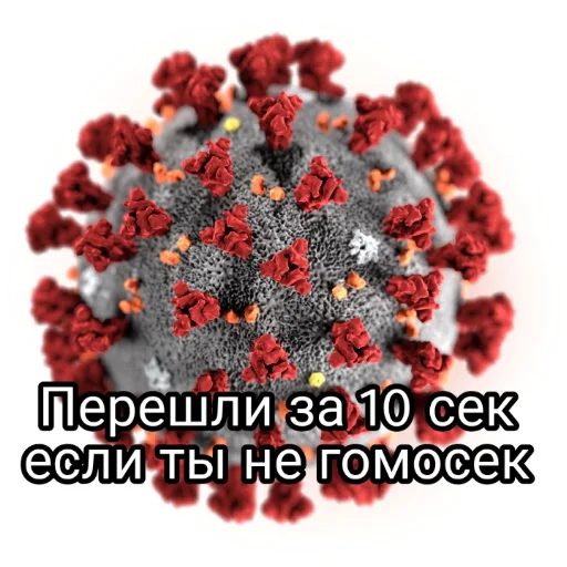 цветок цветок ягода