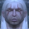 Czerwony Kardynal - 