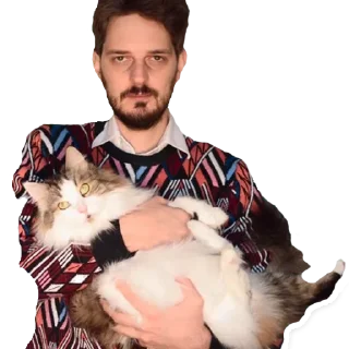 Sticker Набор кацебота - 7