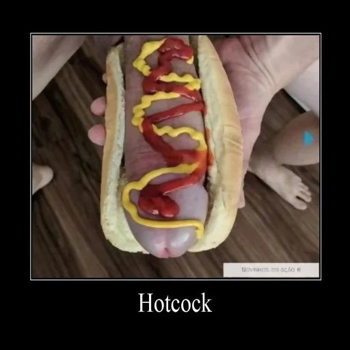 fast food fast food hotdog dog