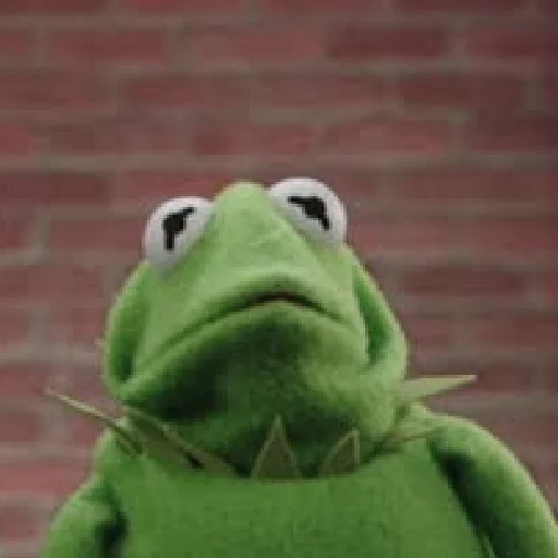 Kermit the frog Kermit the frog -