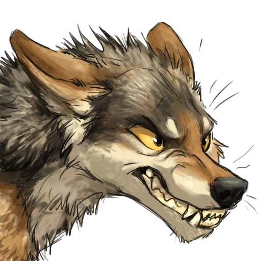 ketcoyotes ketcoyotes -