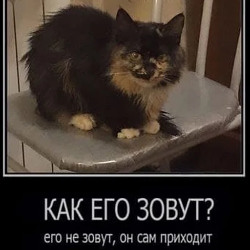 кипя кипя -