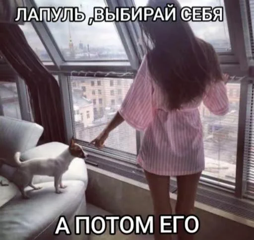 Кисули Кисули -