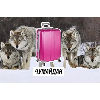Sticker Кіт Василь - 7