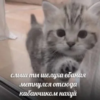 Sticker залупа кизнули - 5