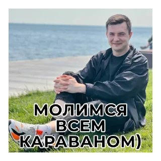Стикер Не Слонов, а Конев! - 3