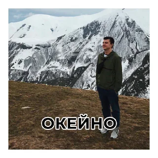 Стикер Не Слонов, а Конев! - 10
