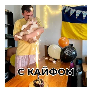 Стикер Не Слонов, а Конев! - 5
