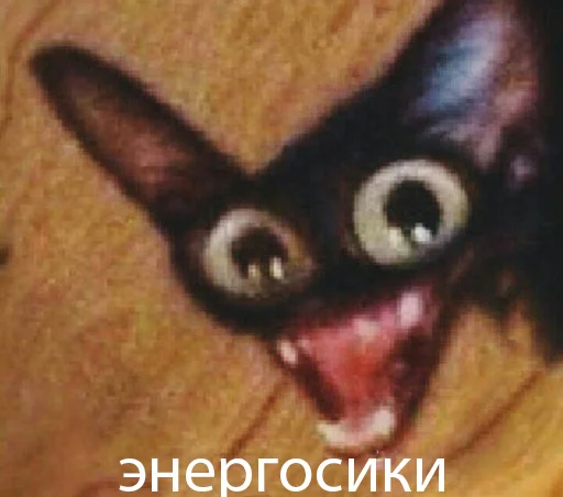 KorolevskiyMIX