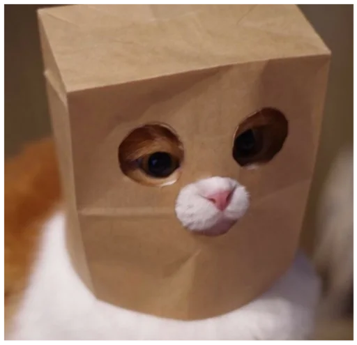 toy toy cat cartoon