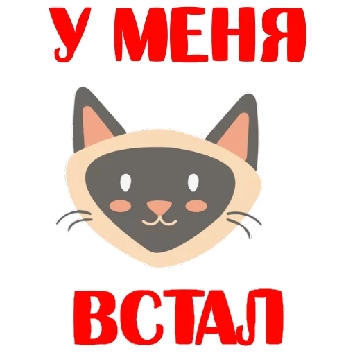 КошкоСтикеры by @stickerus