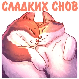 Sticker Котики и фразочки 2 @kotiki_i_frazochki - 10