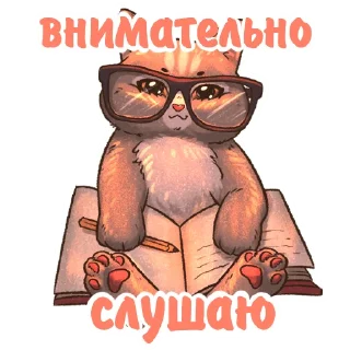 Sticker Котики и фразочки 2 @kotiki_i_frazochki - 4