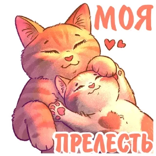 Sticker Котики и фразочки 2 @kotiki_i_frazochki - 3