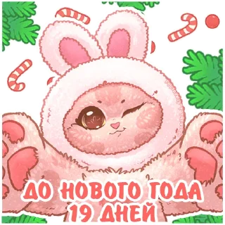 Sticker @kotiki_i_frazochki до Нового Года осталось - 0