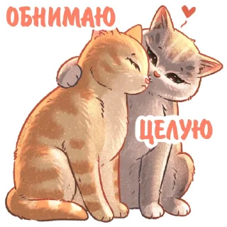 Sticker Котики и фразочки 3 @kotiki_i_frazochki - 0