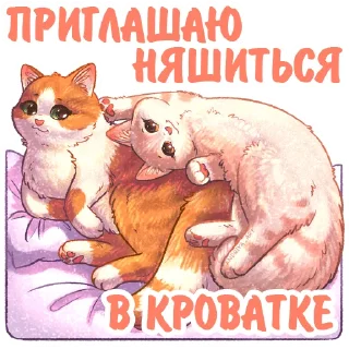 Стикер Котики и фразочки 3 @kotiki_i_frazochki - 10