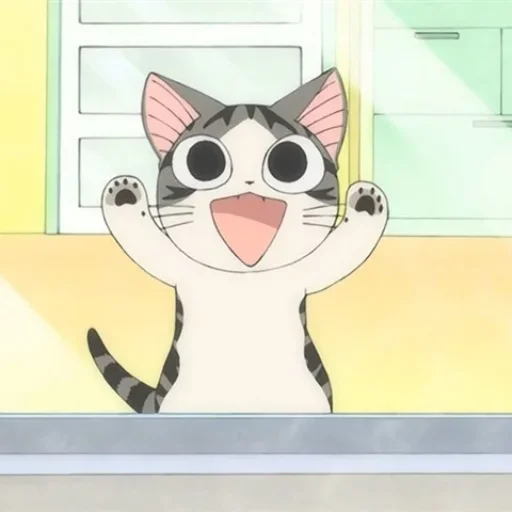 котик :3 котик :3 -