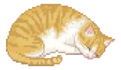 Котизм Котизм -