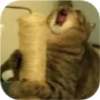 ЭТО МОЯ ЖИЗНЬ ЭТО МОЯ ЖИЗНЬ -