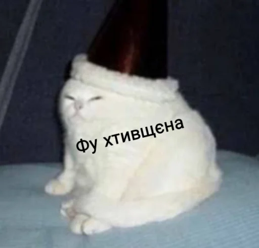 котиська (@/uamusicandcats) котиська (@/uamusicandcats) -