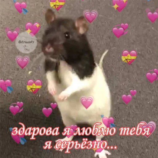 kri$ki kri$ki -