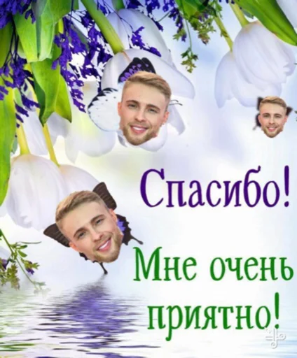 кридитка болота кридитка болота - человеческое лицо