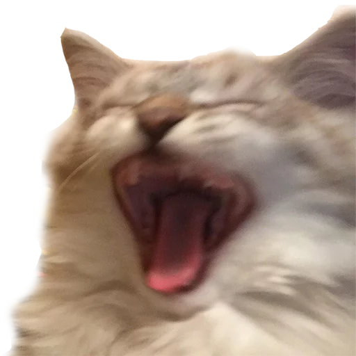 kucuk kucuk -