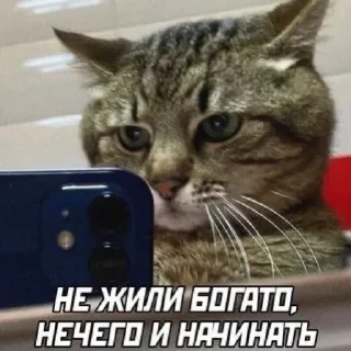 Sticker кукарена - 4
