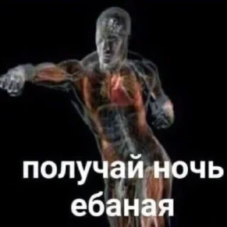 Sticker кукарена - 2