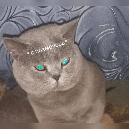 Sticker мать кукушки :: @fStikBot - 6